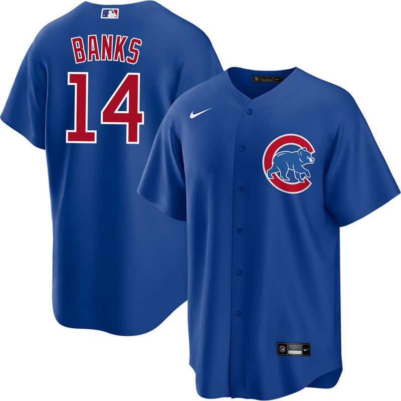 Youth Chicago Cubs Ernie Banks Replica Alternate Jersey - Royal
